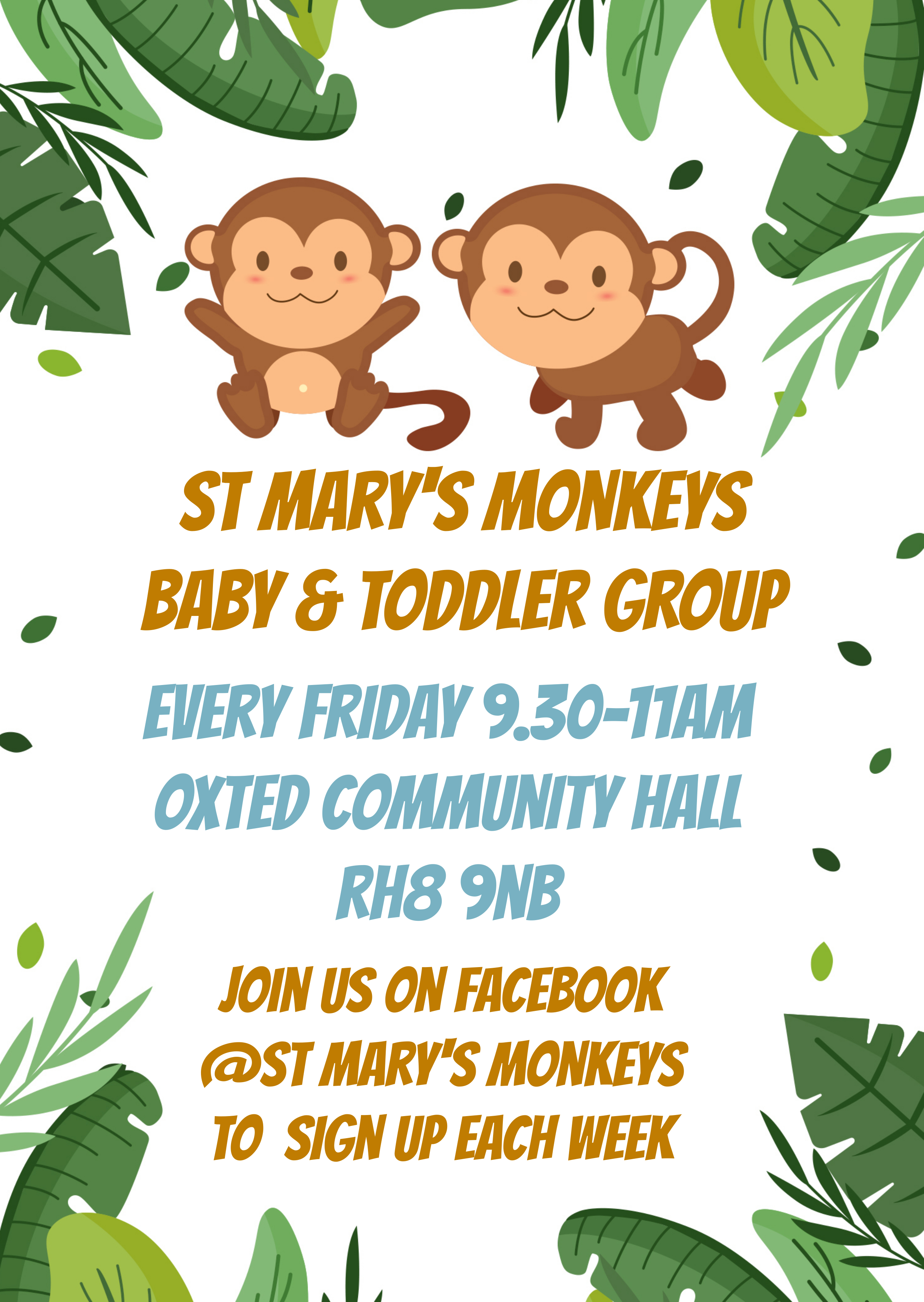 St Mary's Monkeys poster